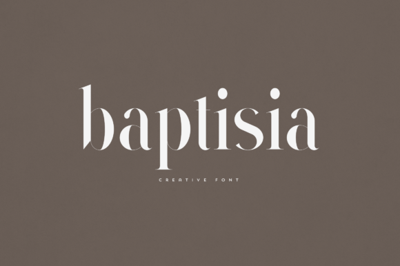 Baptisia Typeface: Elevating Editorial Design with Elegant Serif Typography
