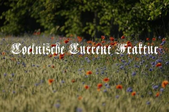 Coelnische Current Fraktur: A Bold Typeface for Editorial Design