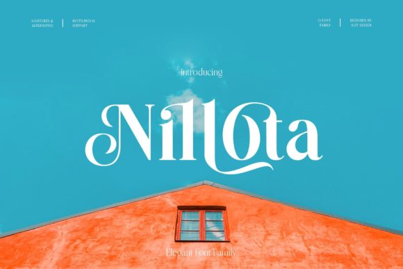 Nilota: The Elegant Serif Font That Transforms Small Business Branding