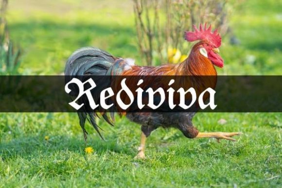 Rediviva: The Blackletter Typeface That Elevates Your Brand Identity