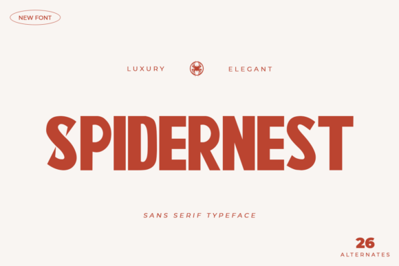 Spidernest: A Modern Sans Serif Typeface for Handmade Branding